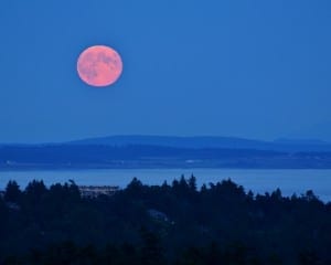 The September 19 Harvest Moon rises above Victoria, British Columbia, and the distant mountains of Washington State. Courtesy Gary Seronik