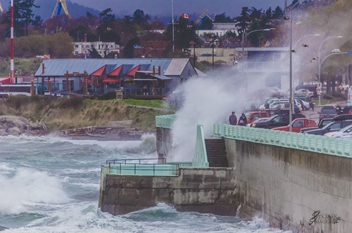 Wind warning in effect for Greater Victoria until Wednesday morning