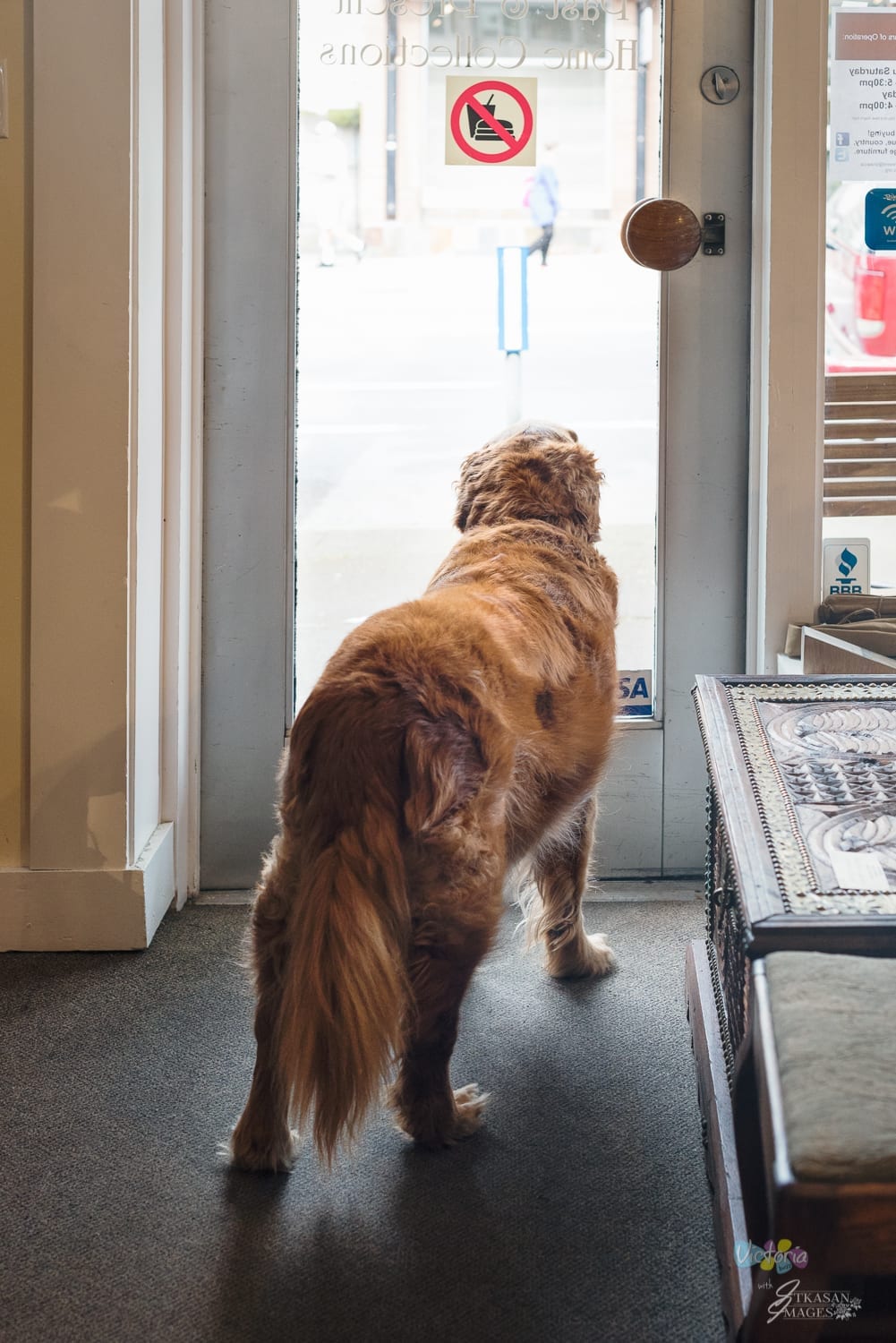 Cody looks out through the store door, onto the sidewalk where he had been greeting customers for 13 years. Photo ItkasanImages
