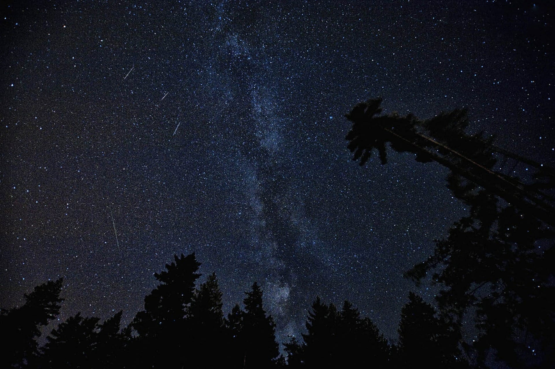 Milky Way Shooting Stars