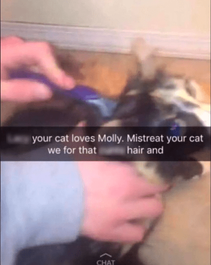 Cat MDMA Snapchat