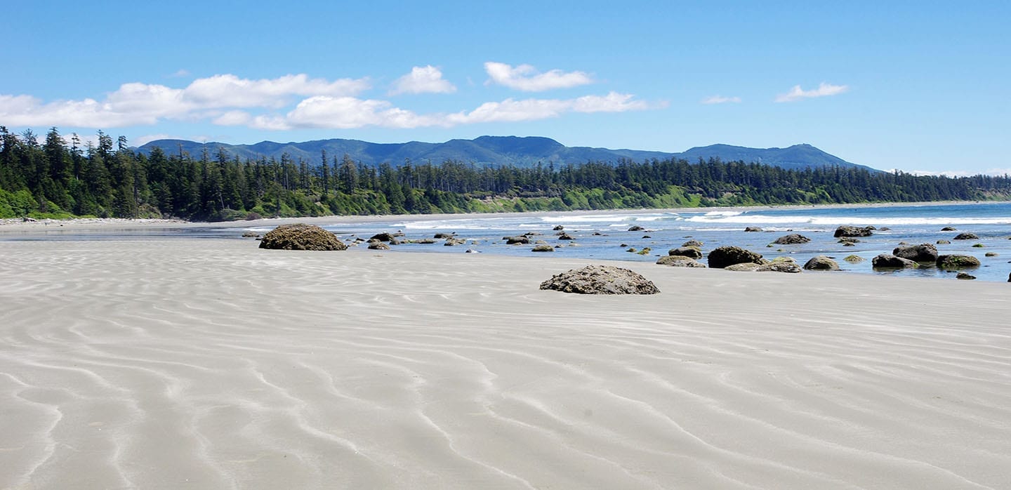 10 must see Vancouver Island destinations to check out on your way to Tofino