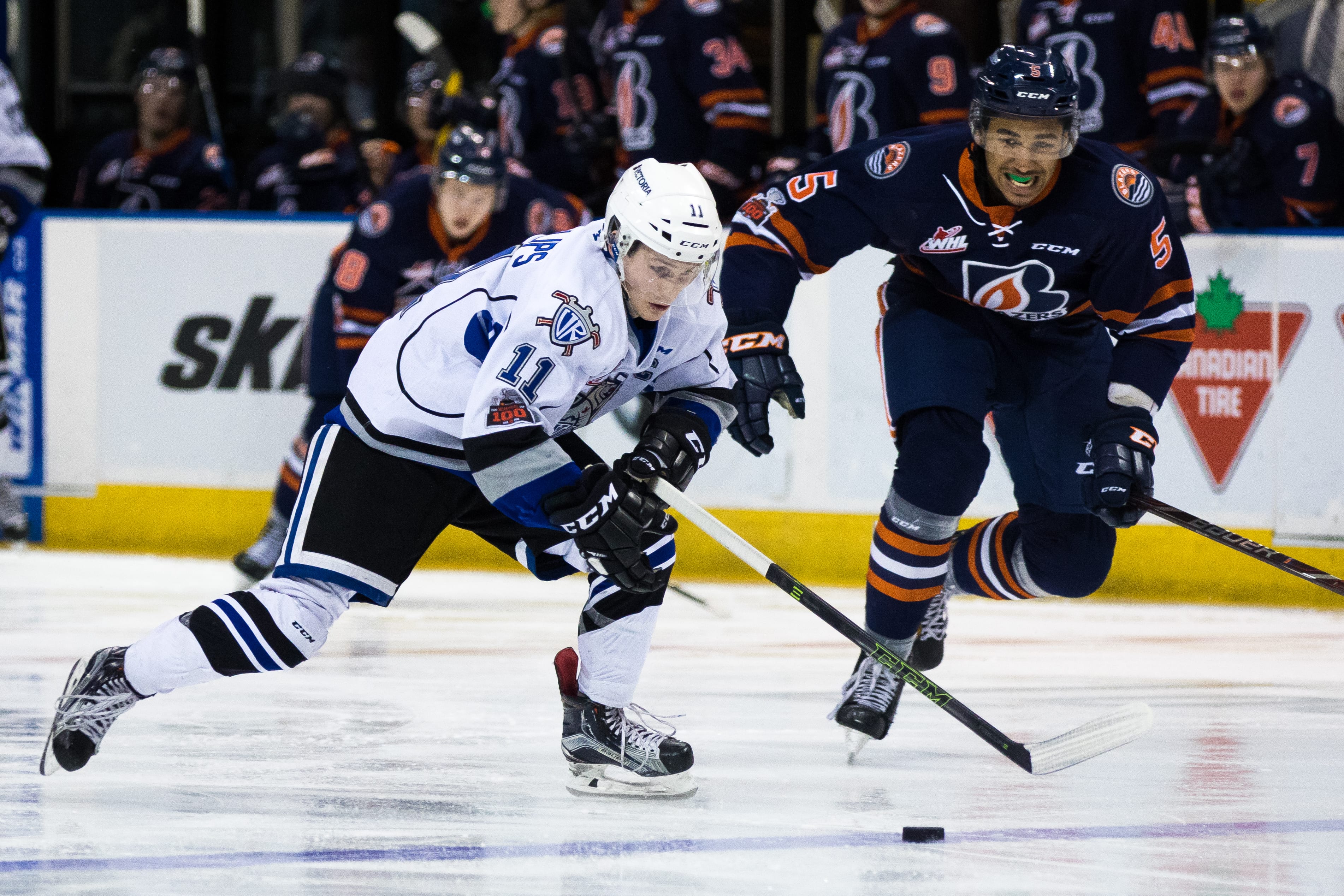 8 Victoria Royals games to check out this February