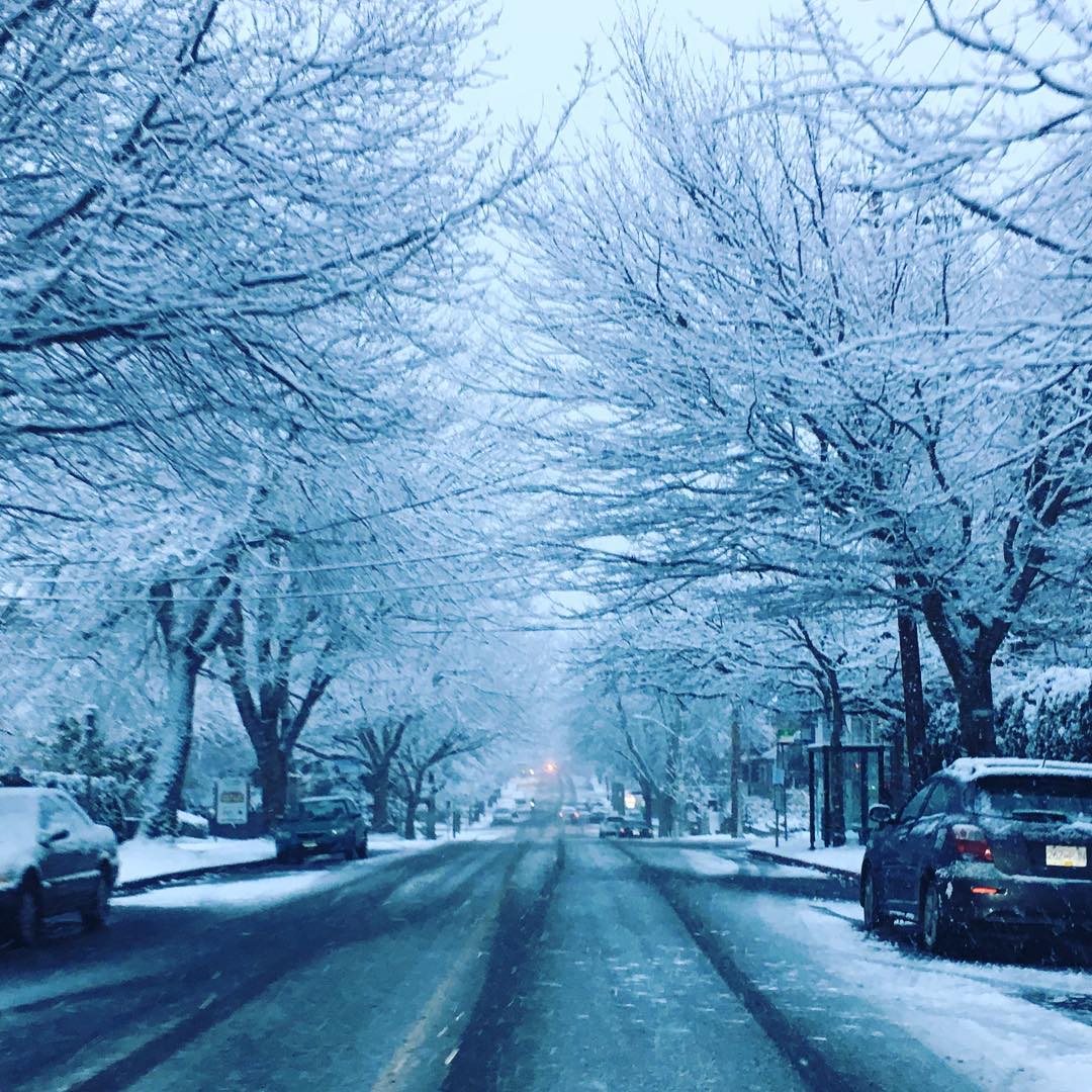 37 incredible shots of snow in Victoria over the past 48 hours (PHOTOS)