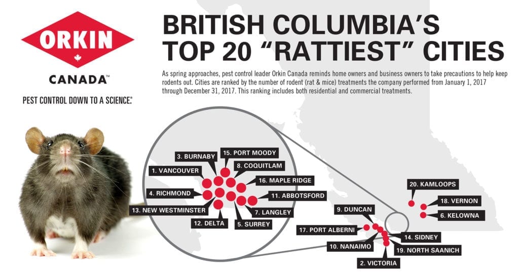 Rattiest cities pest control infographic