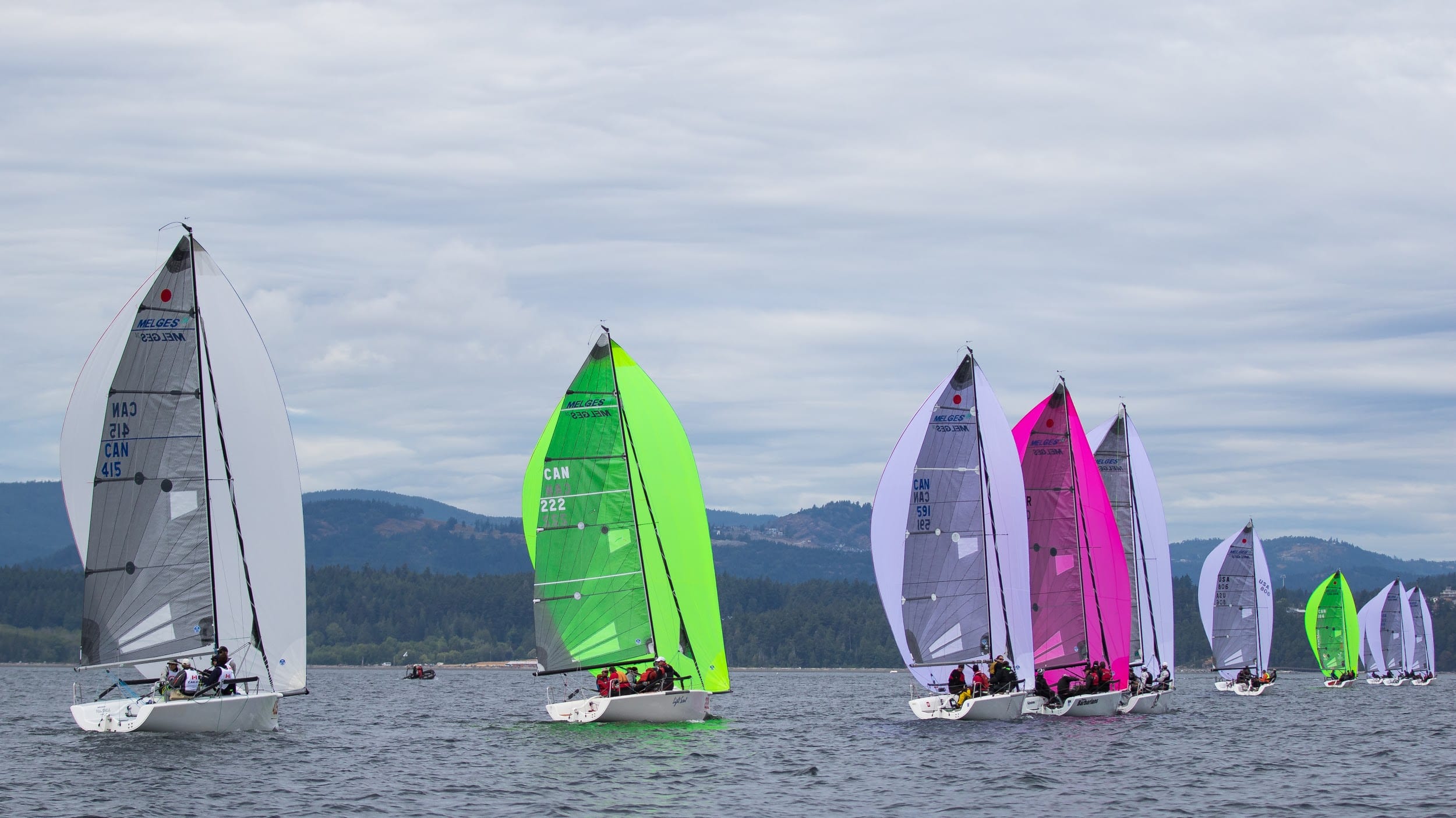 sailboat racing videos