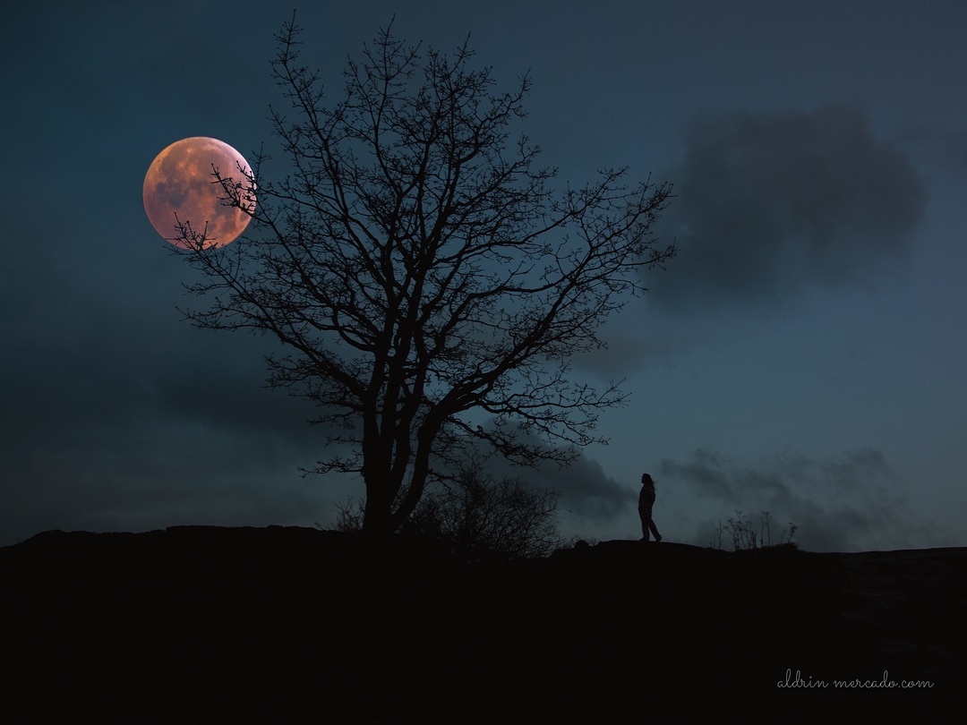 total lunar eclipse blood moon - photo #11