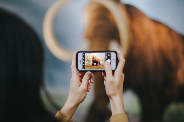 Woolly the Mammoth comes with his own selfie station!