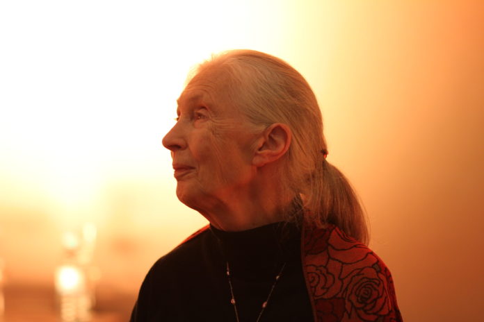 Jane Goodall is coming to Victoria