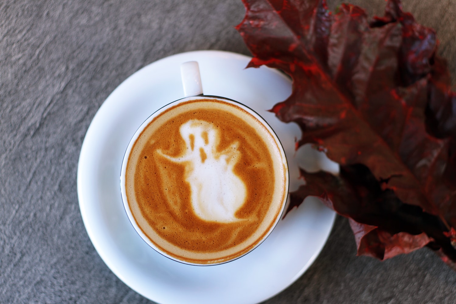7 Victoria coffee shops to get your Pumpkin Spice Latte and other cozy fallthemed drinks