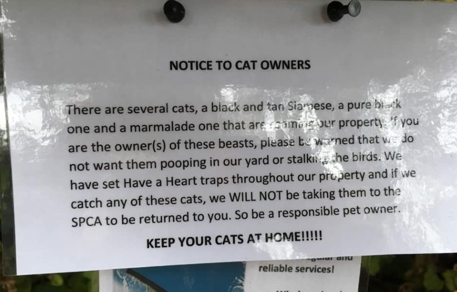 Threatening Sign Cats