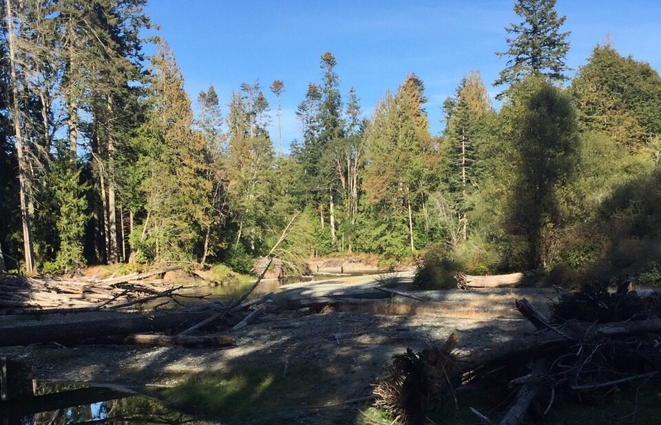 Here’s why this conservation group is fundraising thousands to purchase