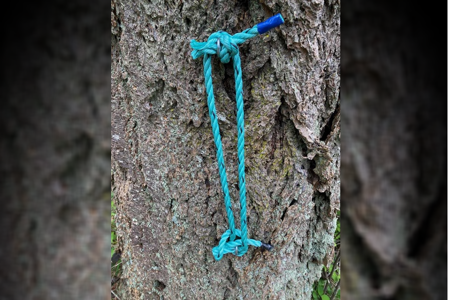 Puzzling crime: 3,000 feet of rope stolen from historic site in Colwood