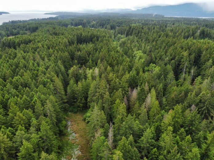 Protecting coastal rainforests Fundraising campaign launched to